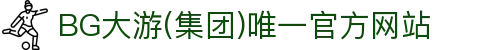BG大游(集团)唯一官方网站
